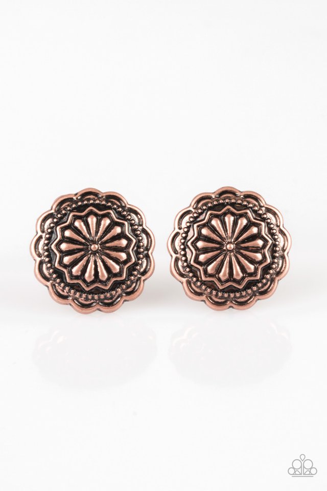 Durango Desert – Copper